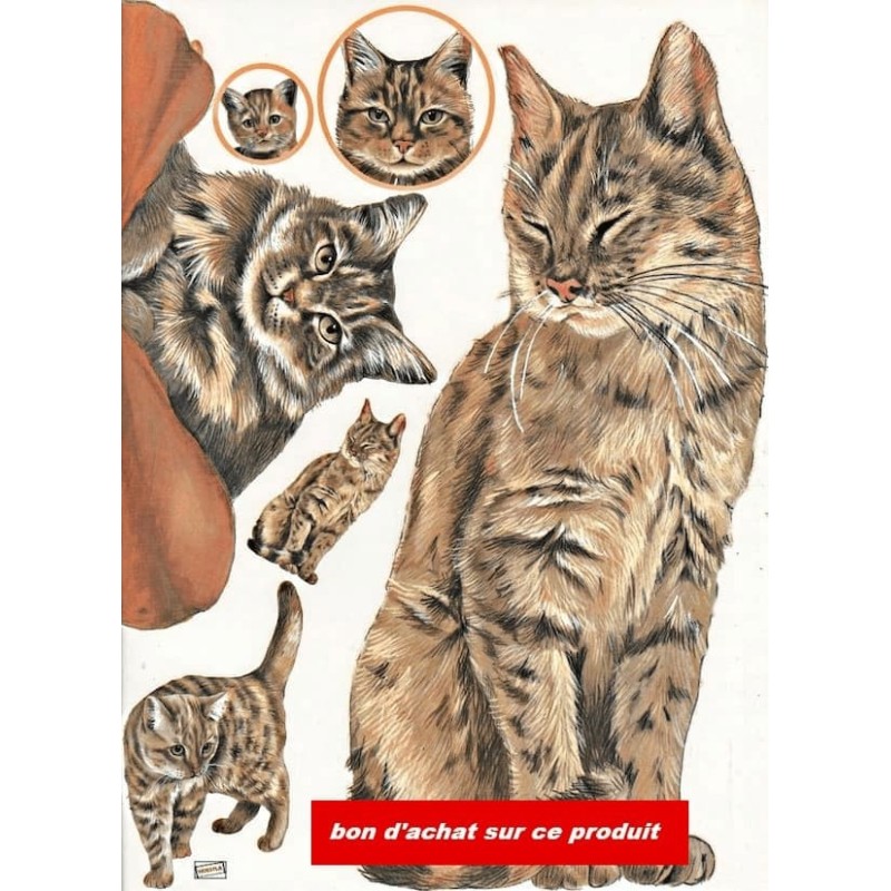 1papier découpage Chats -D0