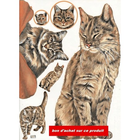 1papier découpage Chats -D0