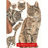 1papier découpage Chats -D0