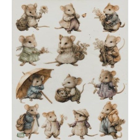 1papier de riz Souries -R2790