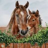 1serviette papier Chevaux -5