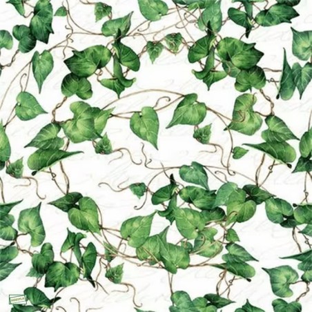 1serviette papier Lierre -22