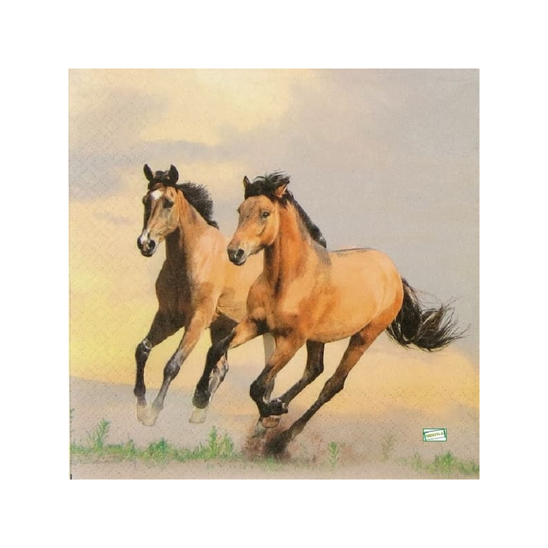 20serviettes papier Chevaux-34