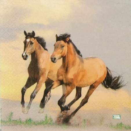 20serviettes papier Chevaux-34