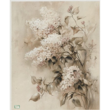 1papier de riz Fleurs-R2830