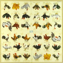 1serviette papier Poulets-35