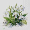 20serviettes Perce neige-26