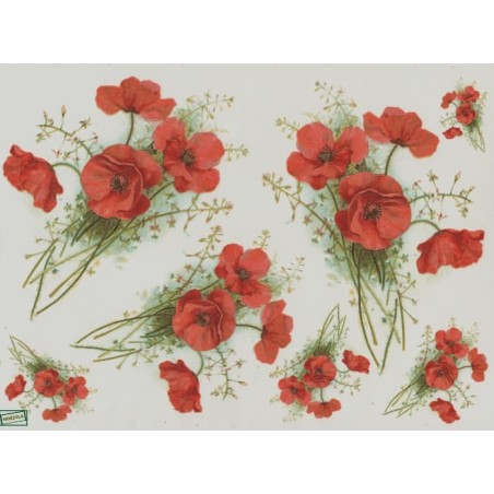 1papier riz Coquelicots-R955