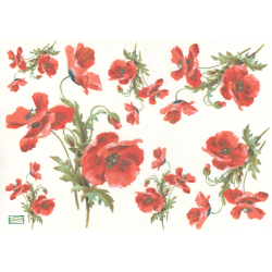 1papier riz Coquelicots-R957