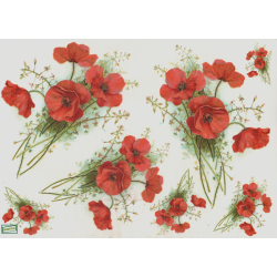 1 papier Coquelicots -S291