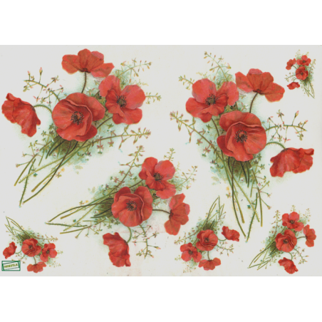 1 papier Coquelicots -S291