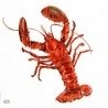 1serviette Le Homard -13