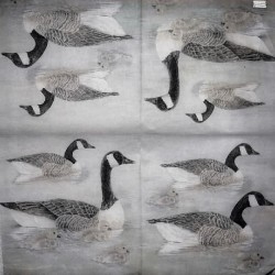 1 papier riz Canards-STA10