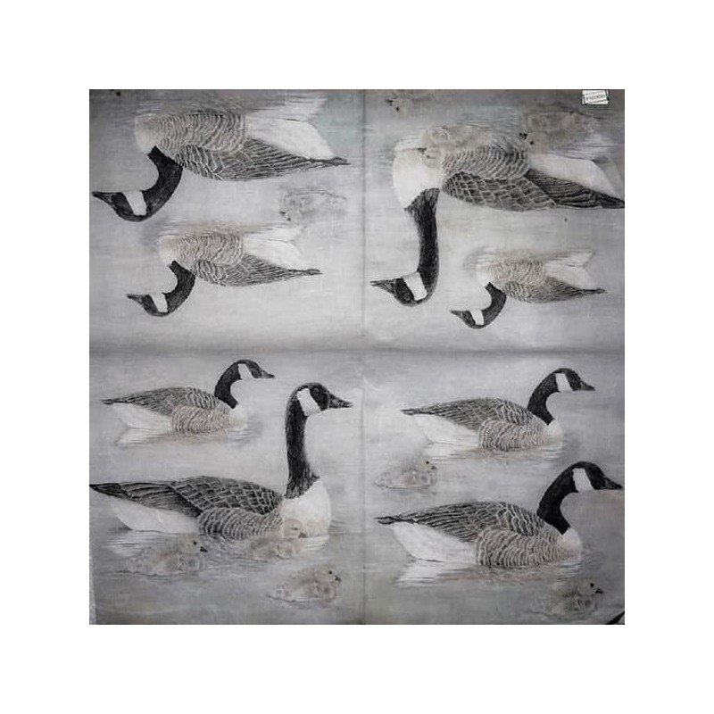 1 papier riz Canards-STA10