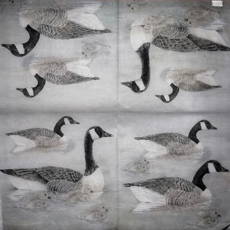 1 papier riz Canards-STA10