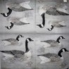 1 papier riz Canards-STA10