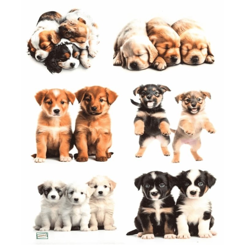 1 papier de riz Chiens -RE3417
