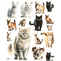 1 papier de riz Chats -RE1426