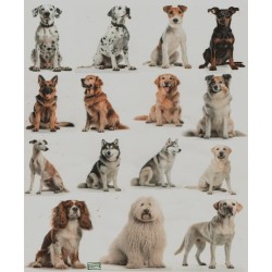 1 papier de riz Chiens -RE3419
