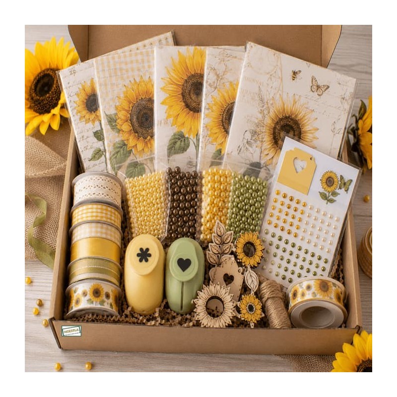 BOX surprise Tournesols