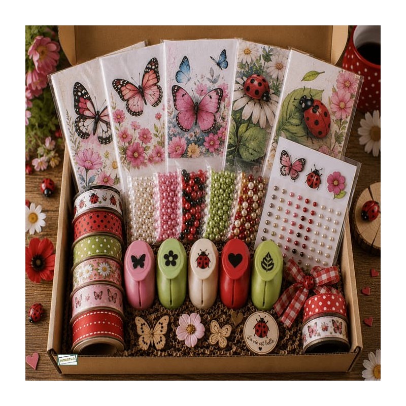 BOX surprise  Insectes
