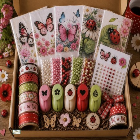 BOX surprise  Insectes