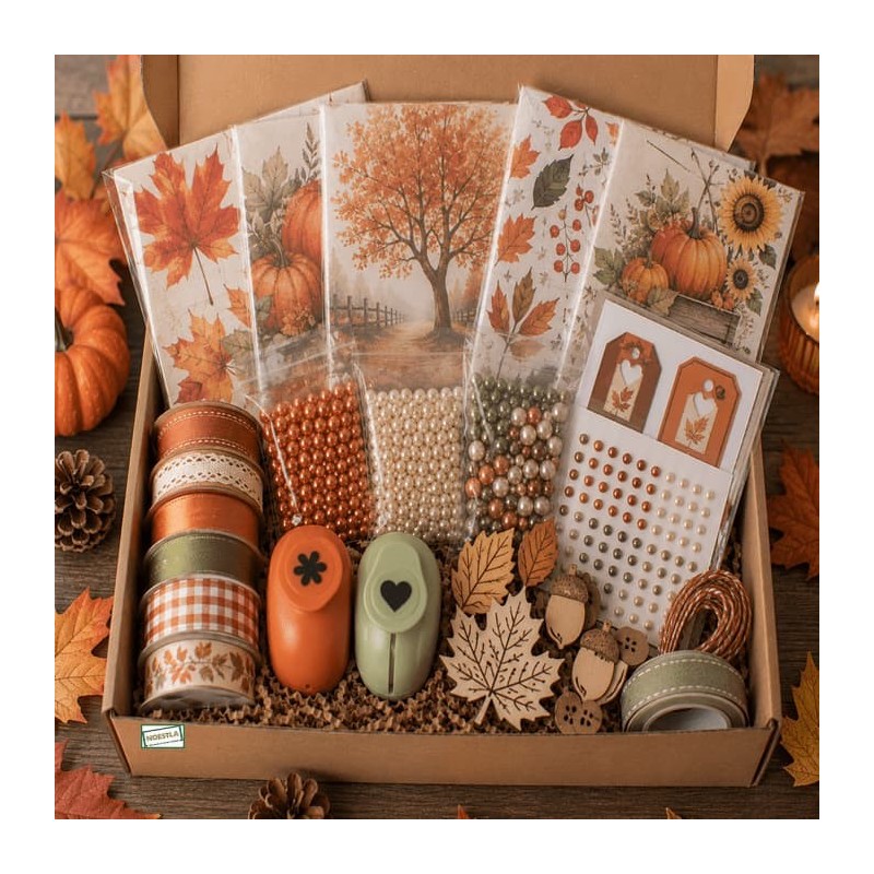 BOX surprise  Automne