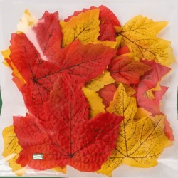 25 Feuilles d’automne