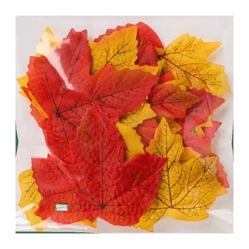 25 Feuilles d’automne