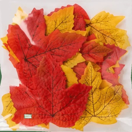 25 Feuilles d’automne