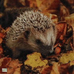 1 serviette Le Hérisson -35