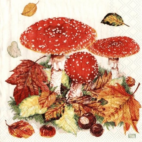 1serviette Les Champignons-19