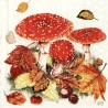 1serviette Les Champignons-19