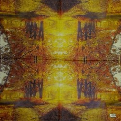 1serviette papier Feuillage -2