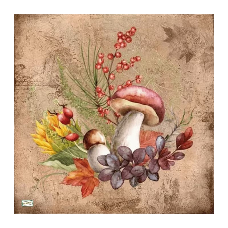 1serviette Les Champignons-31