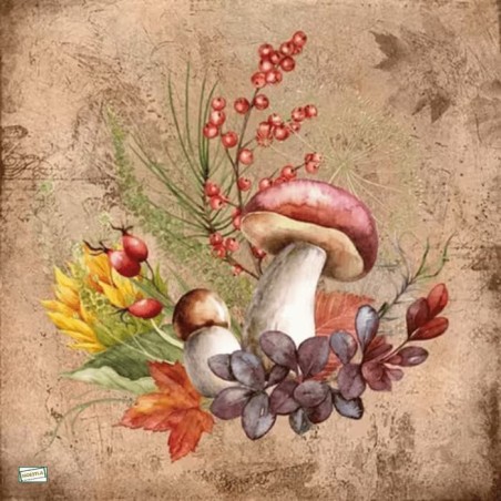 1serviette Les Champignons-31
