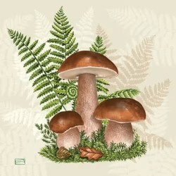 1serviette Les Champignons-39