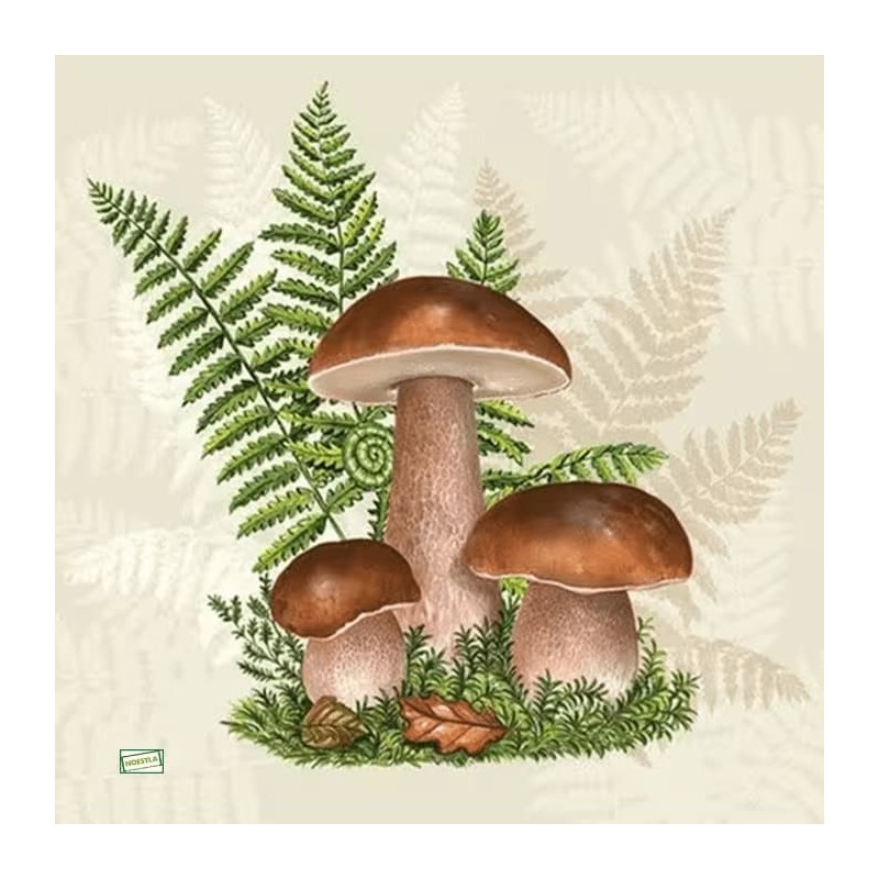 1serviette Les Champignons-39