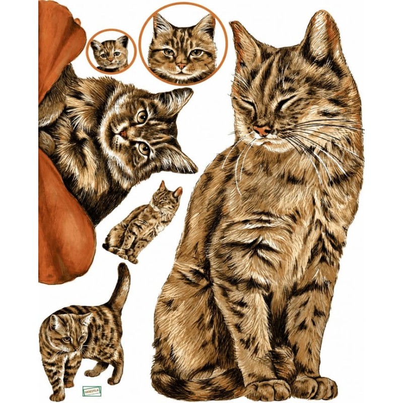 1papier découpage Chats -D0