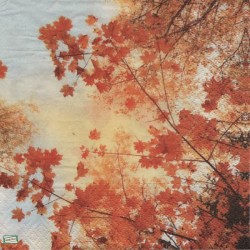 1serviette papier Feuillage-72