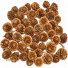 300 Pommes de pin naturelles