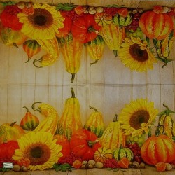 1serviette Les Potimarrons-40