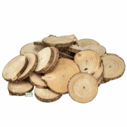 10 rondelles bois naturelles