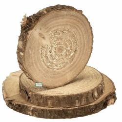 10 rondelles bois naturelles