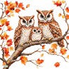 1 serviette Les chouettes-26