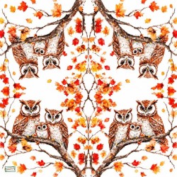 1 serviette Les chouettes-26