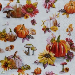 1serviette Les Légumes-67