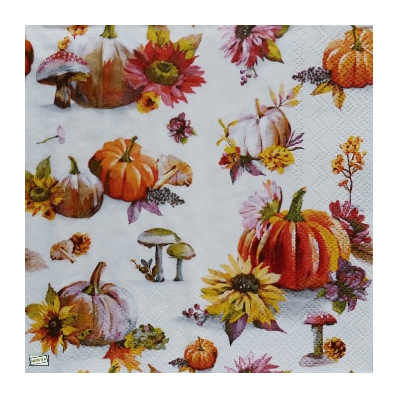 1serviette Les Légumes-67