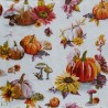 1serviette Les Légumes-67