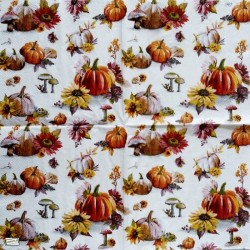 1serviette Les Légumes-67
